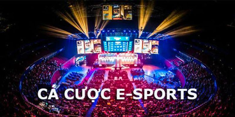 Hướng dẫn tham gia cá cược Esport tại FCB8